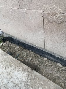 IMG_5345.jpeg