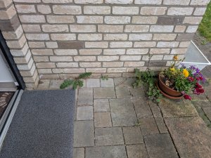 PXL_20250524_174911224.jpg