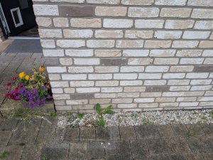 PXL_20250524_174921291.jpg