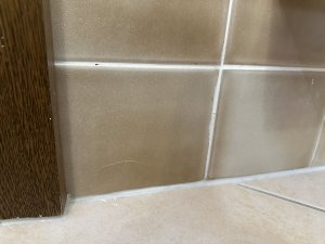 IMG_5875.jpeg