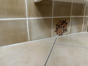 IMG_5881.jpeg