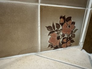 IMG_5874.jpeg