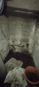 IMG_20250526_113045.jpg
