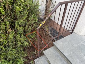 IMG_2089.jpeg