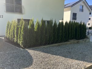 IMG_6364.jpg