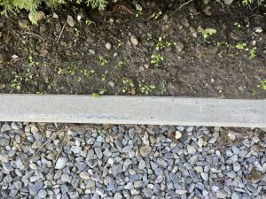 IMG_6365.jpg