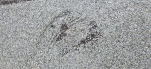 20250523_151006.jpg
