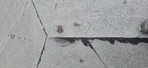 20250523_150916.jpg