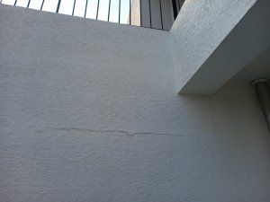 20250527_182548.jpg