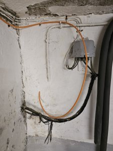 20250604_193248.jpg
