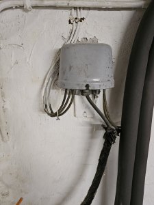20250604_193242.jpg