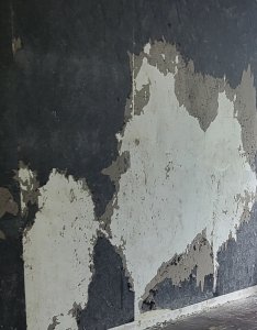 20250604_212249.jpg