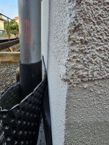 20250605_062839.jpg