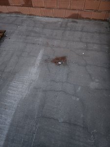 20250324_185419.jpg