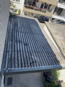 IMG_5323.jpeg