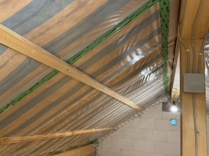 IMG_5110.jpeg