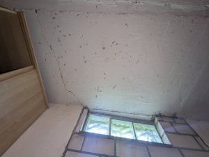PXL_20250606_161157283.jpg