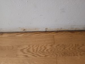 IMG_20250603_103005.jpg