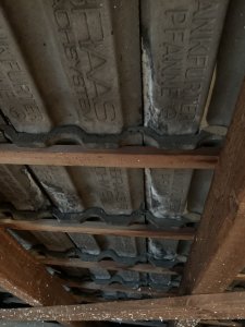 IMG_5960.jpeg