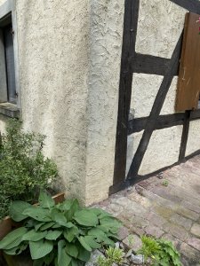 IMG_7799.jpeg