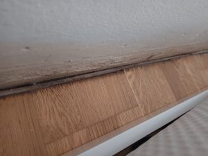IMG_20250220_084215.jpg