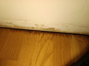 IMG_20250331_163300.jpg
