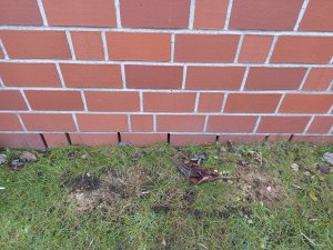 IMG_20250117_134951.jpg
