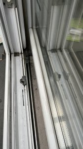 IMG_0094.jpeg