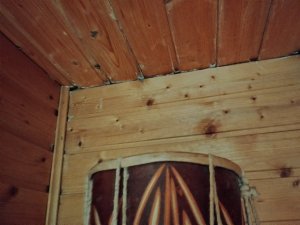 IMG_20250609_200504657.jpg