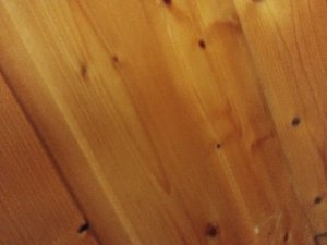 IMG_20250609_200429669.jpg