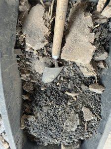 IMG_4004.jpeg