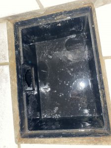 IMG_7638.jpeg