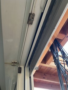 IMG_0220.jpeg