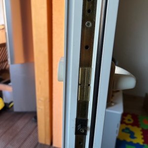 IMG_0221.jpeg