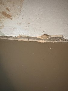 IMG_3986.JPG