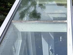 IMG_2742.jpeg