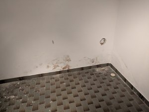 PXL_20250618_083422533.jpg