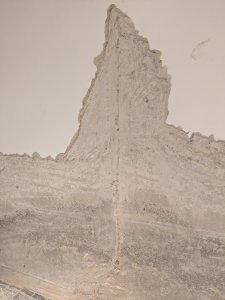 PXL_20250618_170536684.jpg