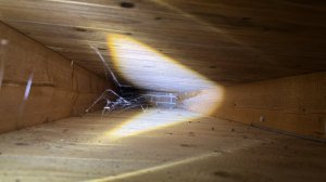 IMG_4929.jpeg