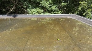 IMG_4961.jpeg