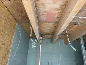 IMG_4107.jpeg