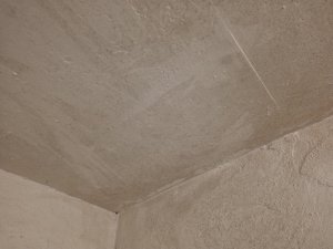 20250618_161854.jpg