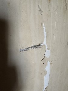 IMG_7865.jpeg
