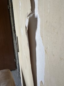 IMG_7866.jpeg