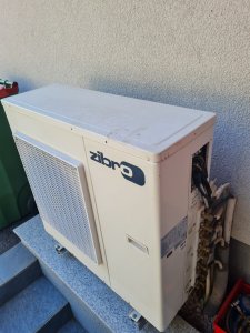 20250622_175956.jpg