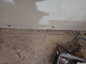IMG_20250623_224350.jpg