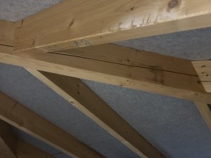IMG_5182.jpeg