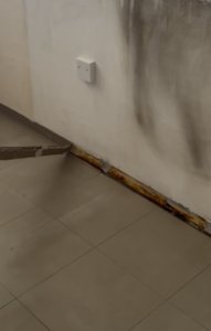 IMG_8897.jpeg