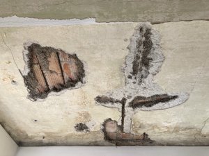 IMG_5324.jpeg