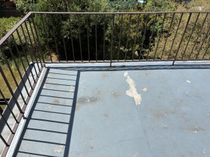 IMG_5263.jpeg